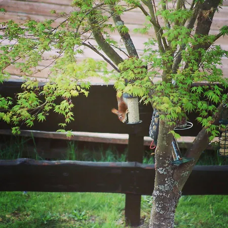 Saegemuehle Unterreichenbach