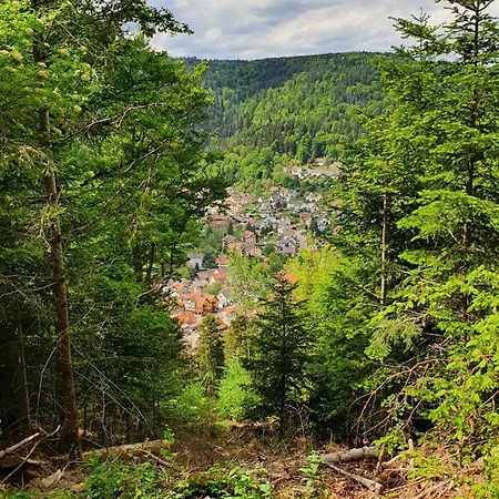 Saegemuehle * Unterreichenbach