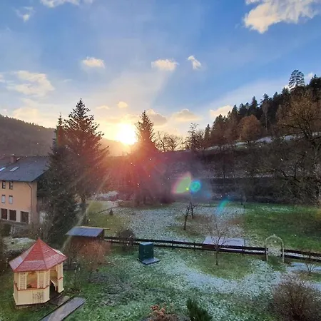 Saegemuehle * Unterreichenbach