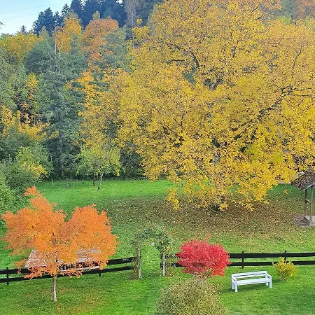 公寓 Saegemuehle 昂特雷申巴赫