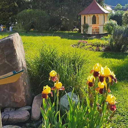 Saegemuehle * 昂特雷申巴赫