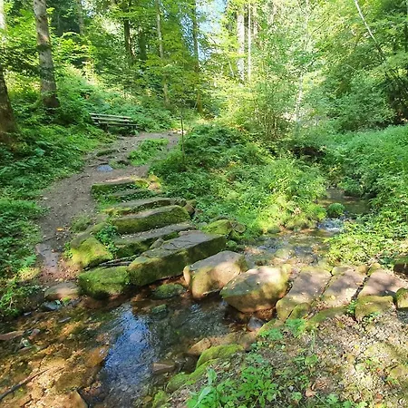 Apartman Saegemuehle *