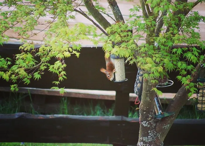 Saegemuehle Unterreichenbach