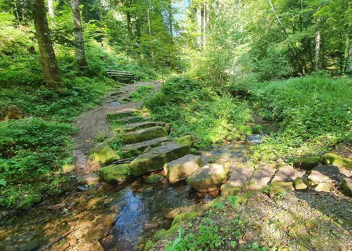 Appartement Saegemuehle *